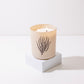 Botanical Collection Bundle | Set of 3 Luxury Soy Candles