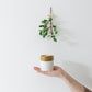 9.5 oz Garland • Gold Dipped Ceramic Soy Candle