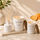 Scent Family 3-Pack
