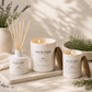 Scent Family 3-Pack